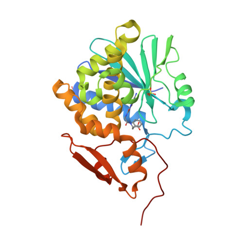 RCSB PDB 7Y08 Crystal Structure Of Ricin A Chain Bound With 2 Amino