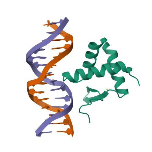 Rcsb Pdb Y Crystal Structure Of The Kat A Wh Domain And Its Bound