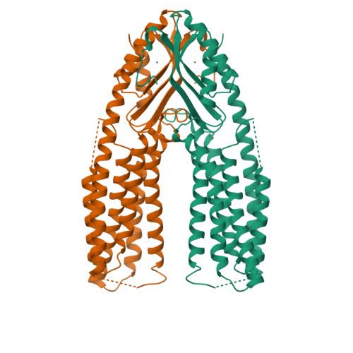 Rcsb Pdb Y H Cryo Em Structure Of A Eukaryotic Znt At A Low Ph