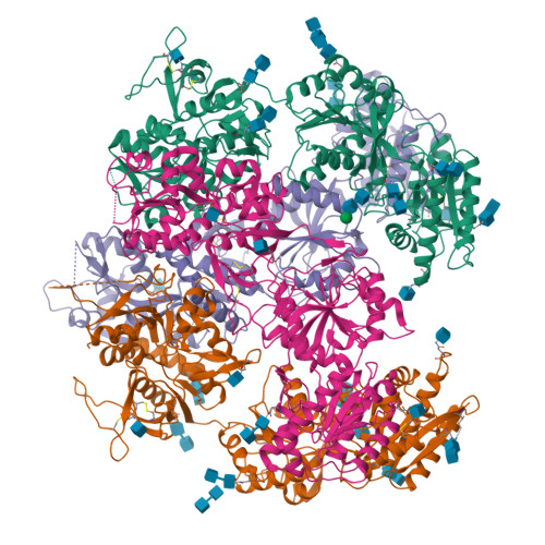 RCSB PDB 7YFG Structure Of The Rat GluN1 GluN2C NMDA Receptor In