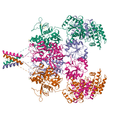 Rcsb Pdb Yfm Structure Of Glun B Glun D Nmda Receptor In Complex