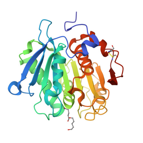 Rcsb Pdb Yko Crystal Structure Of A Novel Alpha Beta Hydrolase