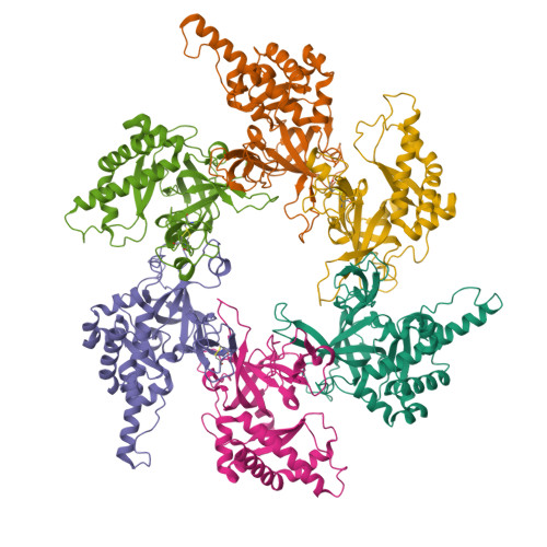 RCSB PDB 7YOX Cryo EM Structure Of The N Terminal Domain Of HMCM8 9