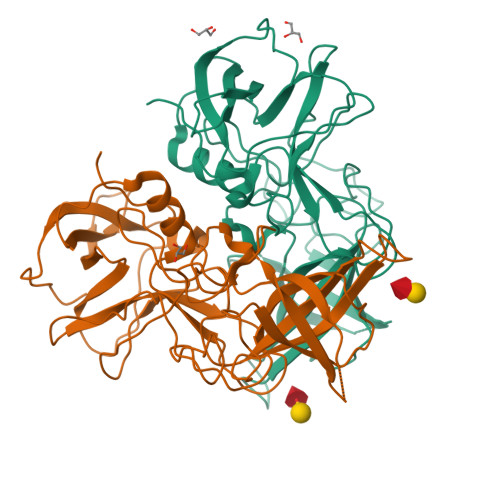 RCSB PDB 7YQG Functional And Structural Characterization Of