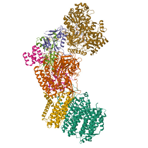 RCSB PDB 7Z0T Structure Of The Escherichia Coli Formate