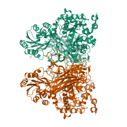 RCSB PDB 7ZDY Crystal Structure Of Beta Xylosidase From Thermotoga