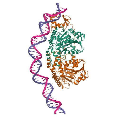 Rcsb Pdb Zla Cryo Em Structure Of Holo Pdxr From Bacillus Clausii