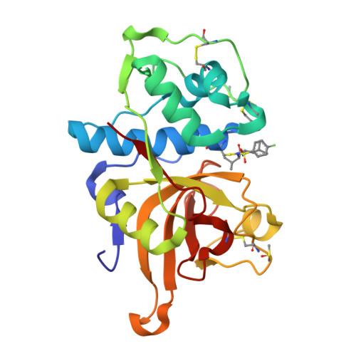 RCSB PDB 7ZS7 Crystal Structure Of Human Cathepsin L With Covalently