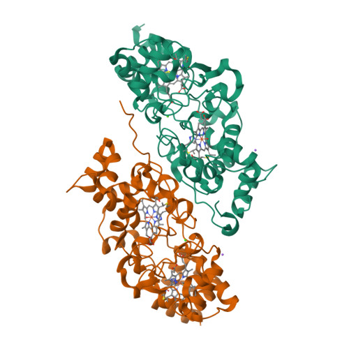 Rcsb Pdb Zs Mixed Valence Active Form Of Cytochrome C Peroxidase