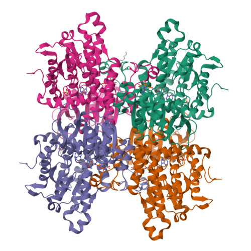 Rcsb Pdb Ajw Crystal Structure Of The Q N Mutant Of S Adenosyl L