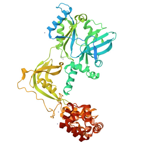 RCSB PDB 8AK4 Structure Of The C Terminally Truncated NAD Dependent