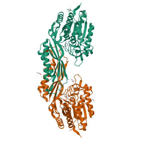 RCSB PDB 8APZ Crystal Structure Of Wild Type L N Carbamoylase From