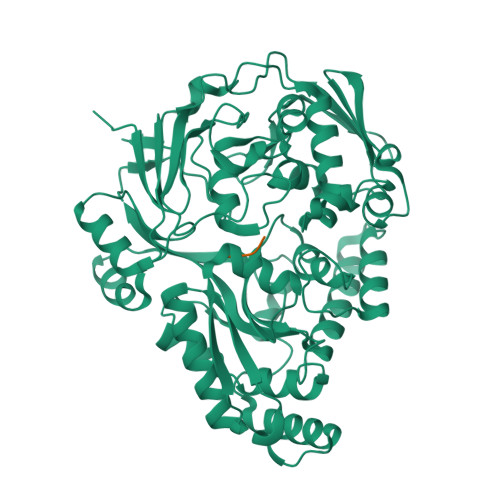 RCSB PDB 8ARN Crystal Structure Of The Peptide Binding Protein OppA