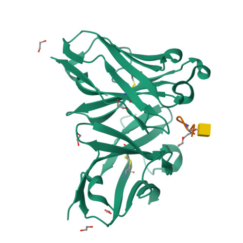 RCSB PDB 8AXH Crystal Structure Of A MUC1 Like Glycopeptide