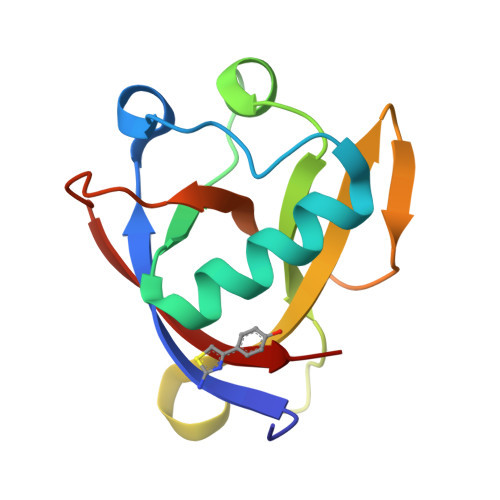 RCSB PDB 8AYS SARS CoV 2 Non Structural Protein 1 Nsp1 In Complex