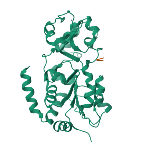 RCSB PDB 8BBK Crystal Structure Of Human Sirt3 In Complex With A