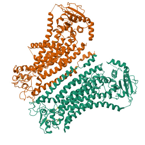 RCSB PDB 8BC0 Cryo EM Structure Of Ca2 Bound MTMEM16F F518A Q623A