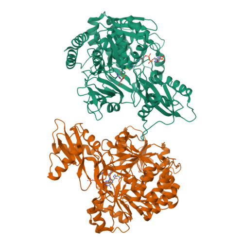 Rcsb Pdb Bit Crystal Structure Of Acyl Coa Synthetase From