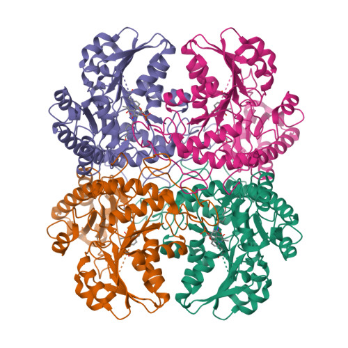 RCSB PDB 8BIW Cystathionine Gamma Lyase N360S Mutant In Complex With