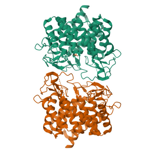 RCSB PDB 8BS0 Room Temperature Structure Of Pedobacter Heparinus N