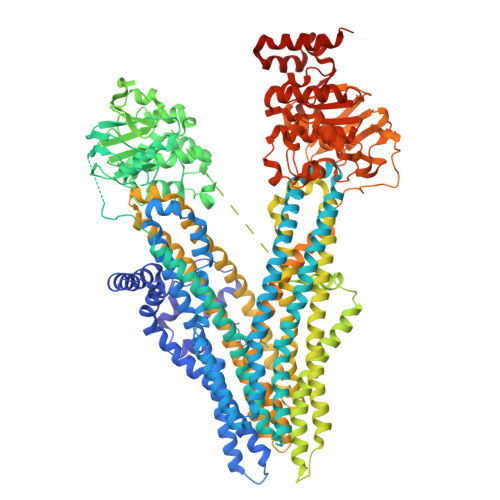 Rcsb Pdb Bwr Cryo Em Structure Of Nanodisc Reconstituted Wildtype