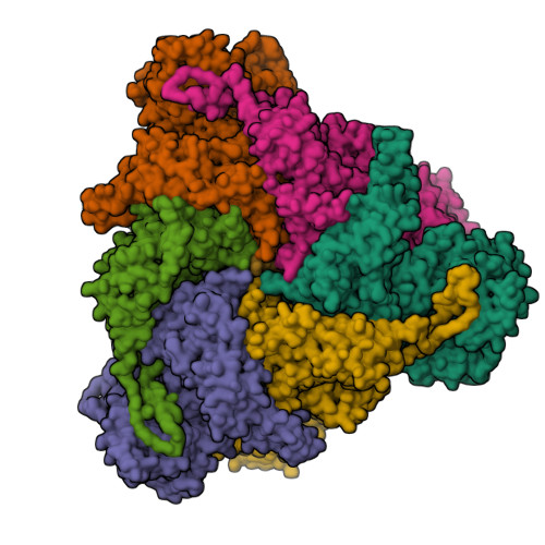 Rcsb Pdb C W Structure Of The Peroxisomal Pex Pex Atpase Complex