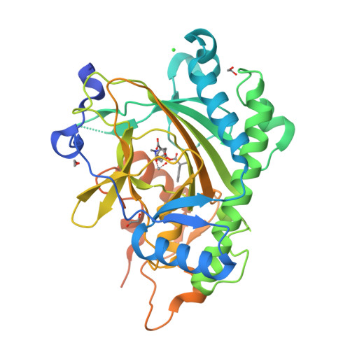 RCSB PDB 8CVC Structure Of Hyoscyamine 6 Beta Hydroxylase In Complex