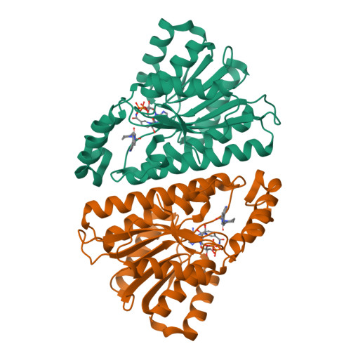 Rcsb Pdb Cwl Cryo Em Structure Of Human Pgdh In Complex With