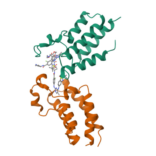 RCSB PDB 8CZA Crystal Structure Of The First Bromodomain BD1 Of