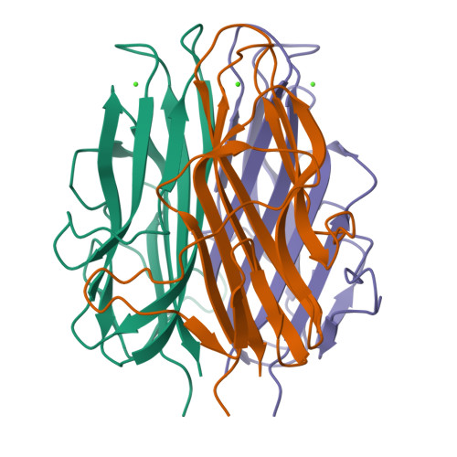 Rcsb Pdb D Crystal Structure Of Bacillus Anthracis Bxpb