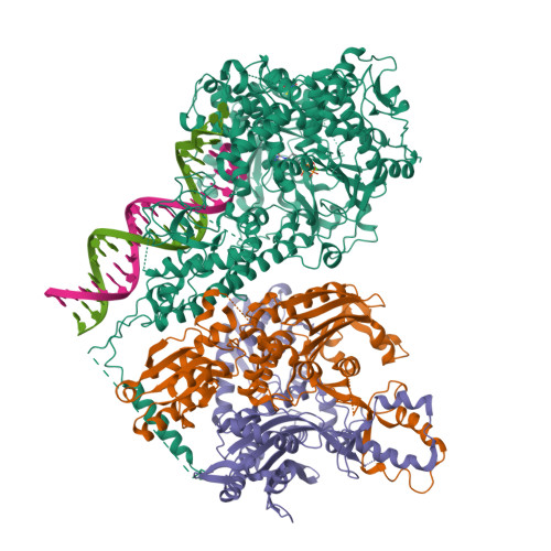 Rcsb Pdb D Human Mitochondrial Dna Polymerase Gamma Ternary