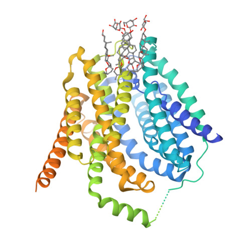 Rcsb Pdb Dep Cryo Em Structure Of The Human Reduced Folate Carrier