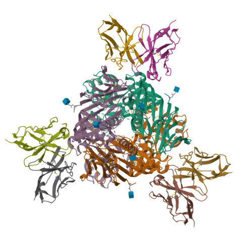 RCSB PDB 8DG9 Cryo EM Structure Of RSV Prefusion F Trimer In Complex