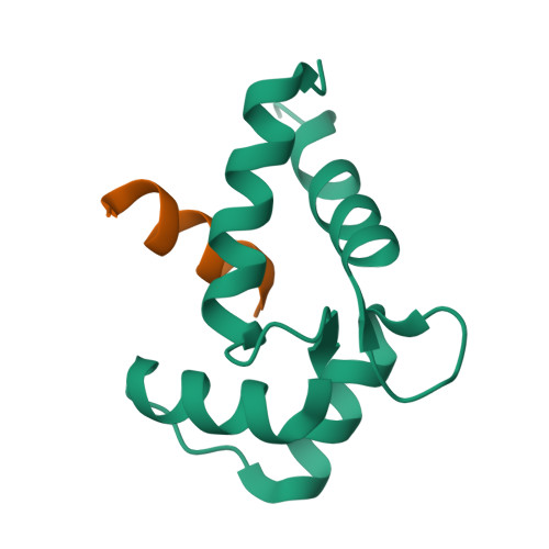 Rcsb Pdb Dgk Nmr Structure Of Calmodulin Bound To N Terminal Site