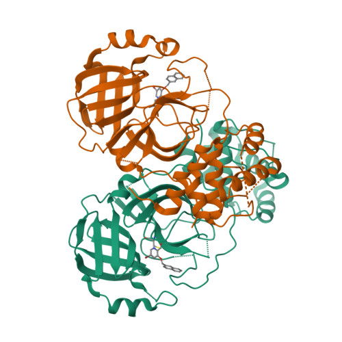 Rcsb Pdb Dif Virtual Screening For Novel Sars Cov Main Protease