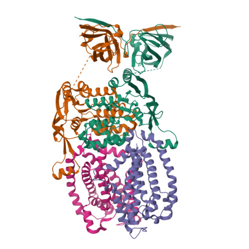 RCSB PDB 8DL0 CryoEM Structure Of The Nucleotide Free And Open