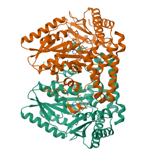 Rcsb Pdb Dl Crystal Structure Of Plp Dependent Mannich Cyclase Lolt