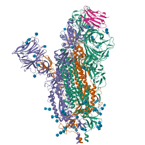 Rcsb Pdb Dlx Cryo Em Structure Of Sars Cov Epsilon B