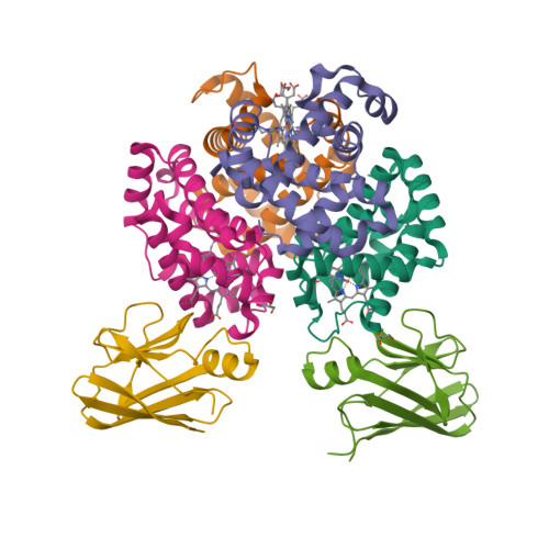 Rcsb Pdb Dov Crystal Structure Of The Shr Hemoglobin Interacting