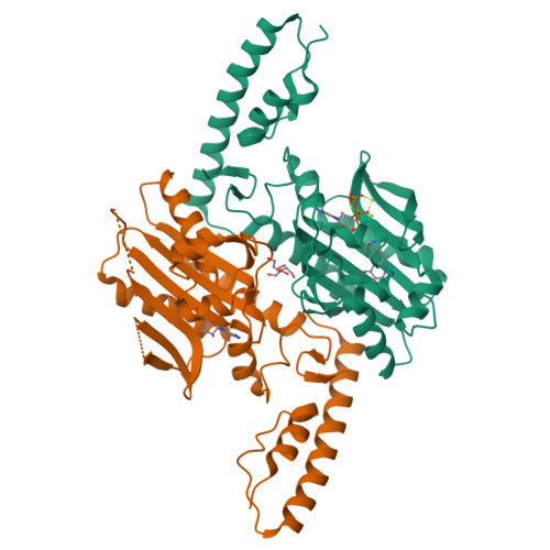 RCSB PDB 8DQJ Crystal Structure Of Pyrrolysyl TRNA Synthetase From