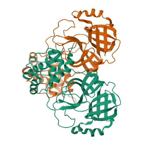 Rcsb Pdb Drt Product Structure Of Sars Cov Mpro C A Mutant In