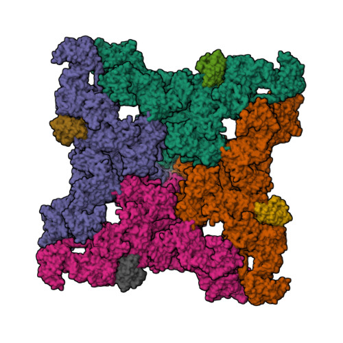 RCSB PDB 8DTY Recombinant Mouse RyR2 Triple Phosphomimetic Mutant