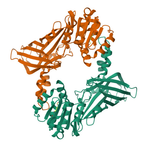 Rcsb Pdb Dur Crystal Structure Of Apo Protein Arginine N