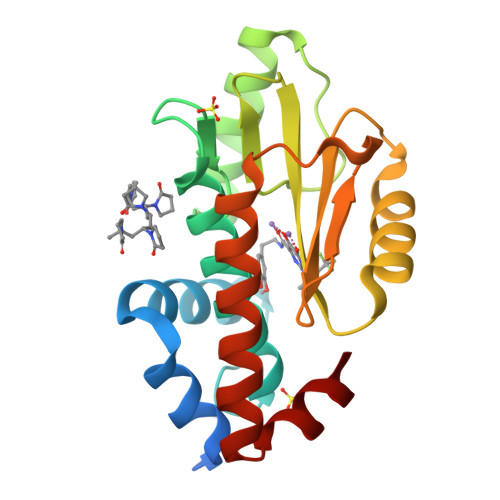 Rcsb Pdb Dvo The Crystal Structure Of Wild Type Pa Endonuclease