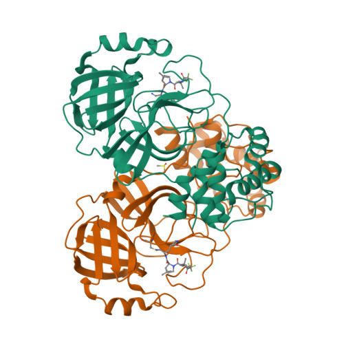 Rcsb Pdb Dz Crystal Structure Of Sars Cov Main Protease G S