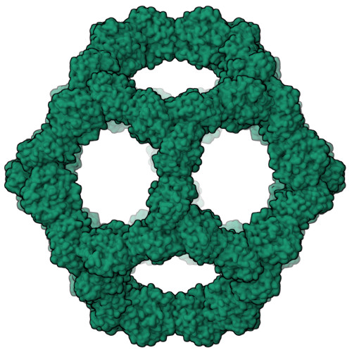 Rcsb Pdb E Structure Of Engineered Nano Cage Fusion Protein