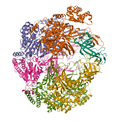 RCSB PDB 8EAM SsoMCM Hexamer Bound To Mg ADP BeFx And DNA Class 2