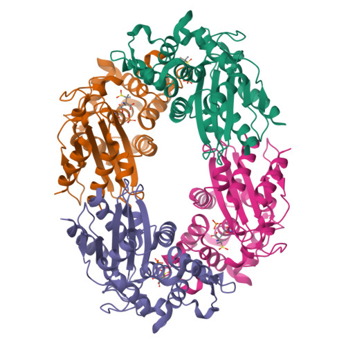 RCSB PDB 8EBR XFEL Structure Of Mycobacterium Tuberculosis Beta