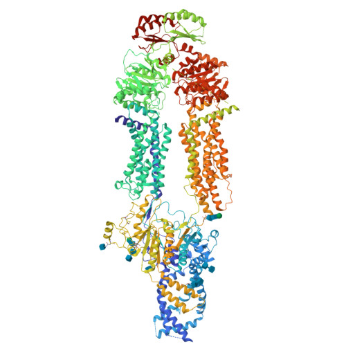 RCSB PDB 8EEB Cryo EM Structure Of Human ABCA7 In Digitonin