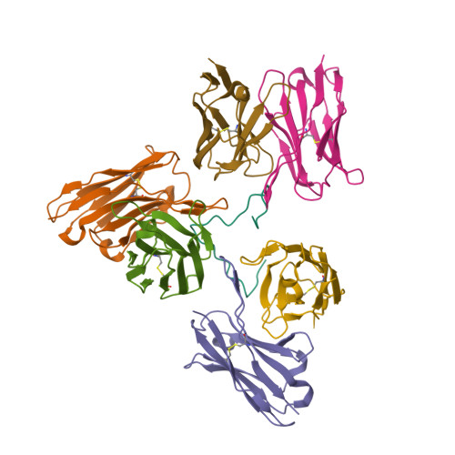 RCSB PDB 8EH5 Cryo EM Structure Of L9 Fab In Complex With RsCSP